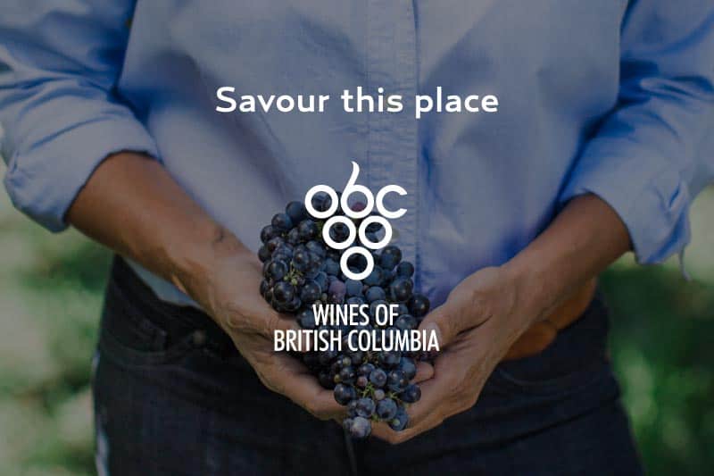 landscape-video-assets