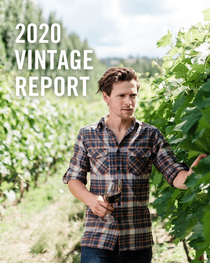 Click to show details - LinkedIn Carousel