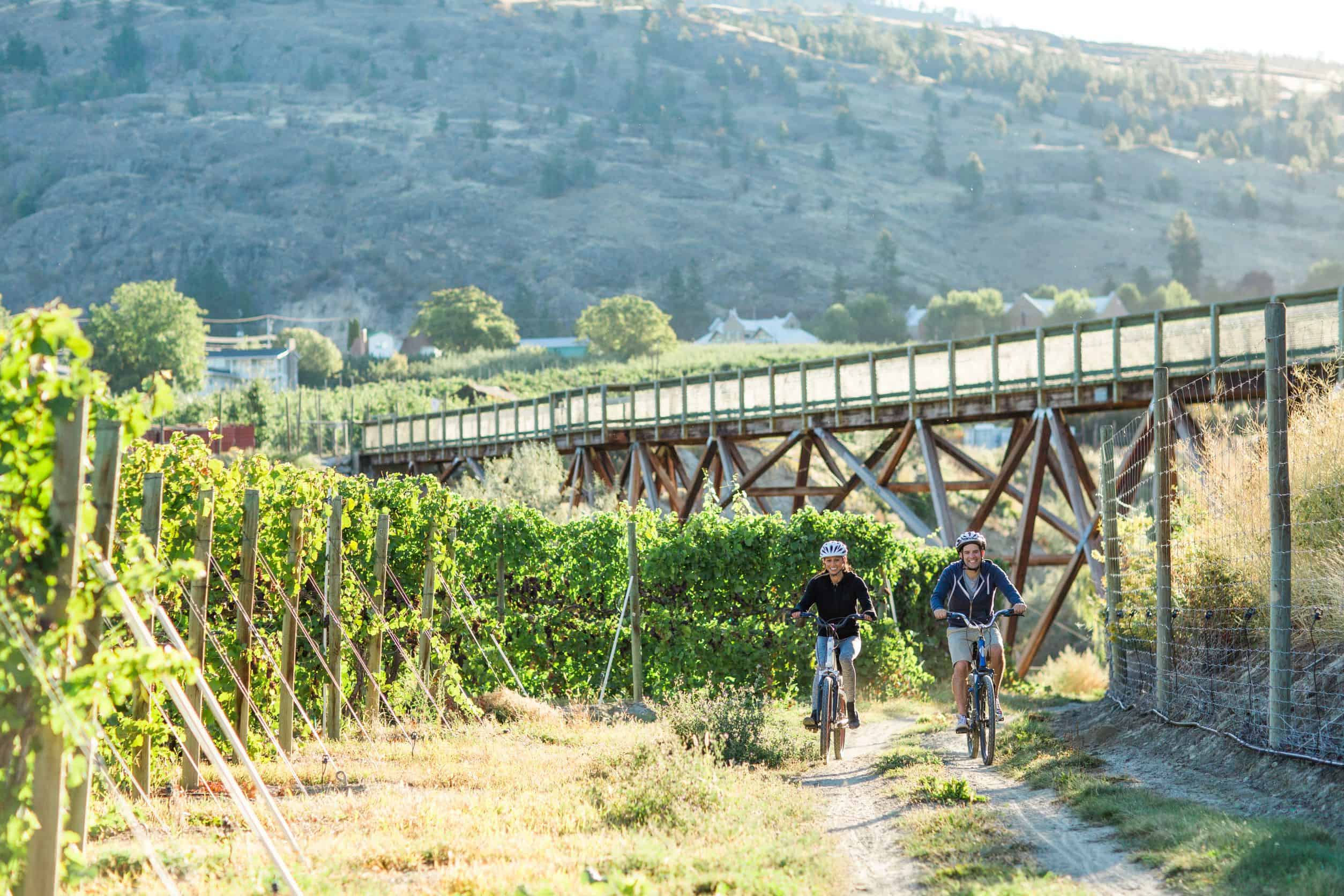 A couple riding bicycles under an aqueduct through a vineyard in the Southern Okanagan, BC, Canada.