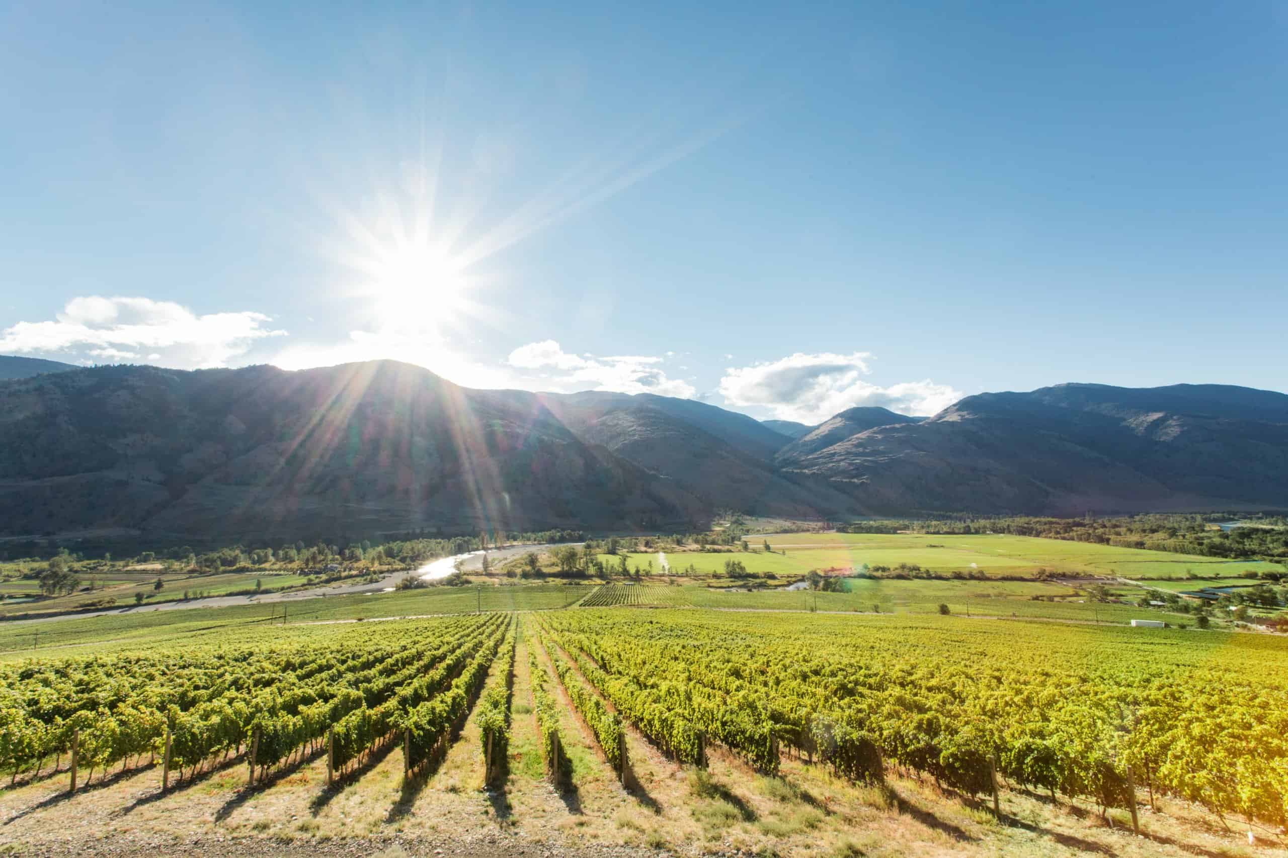 The sun rising over a gently sloped Similkameen Valley winery.